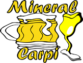 Mineral Carpi