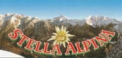 ma_stella_alpina