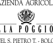 villa poggiolo