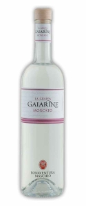 Grappa gaiarine moscato