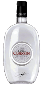 Candolini