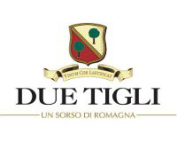 DUE TIGLI