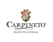 carpineto